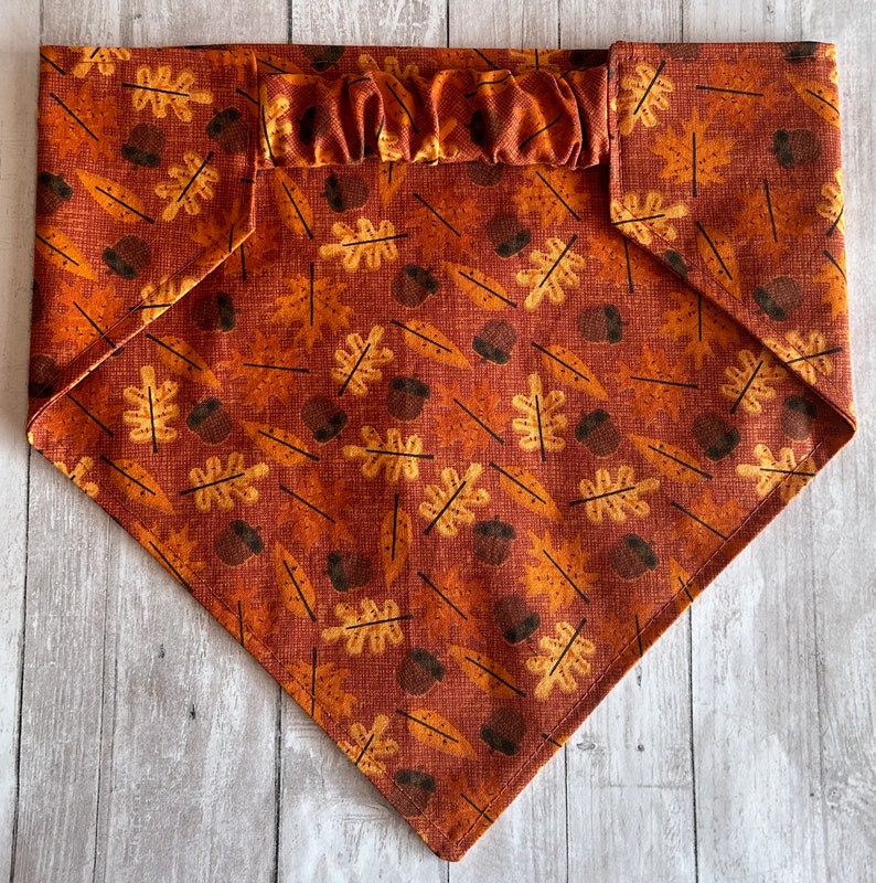 Autumn Leaves Pet Bandana