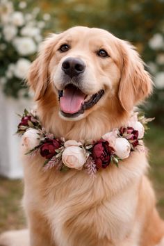 Artisan Floral Pet Collar Accent