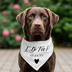 Custom Script Wedding Pet Bandana